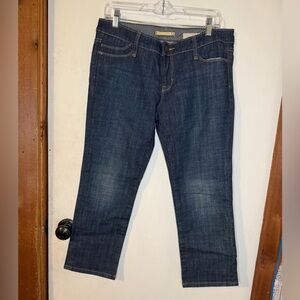 GAP Dark Blue Ankle Jeans